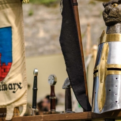 Crana Historica 2016