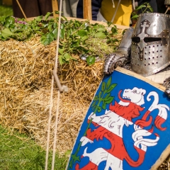 Crana Historica 2016