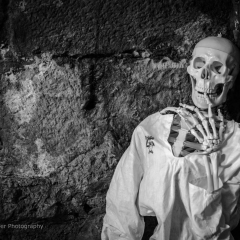 Crana Historica 2016