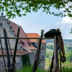 Crana Historica 2016