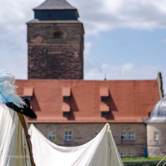 Crana Historica 2016