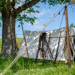 Crana Historica 2016