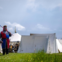 Crana Historica 2016