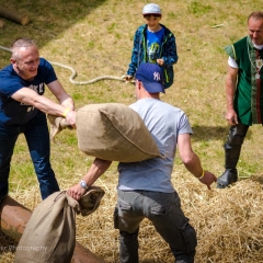 Crana Historica 2016