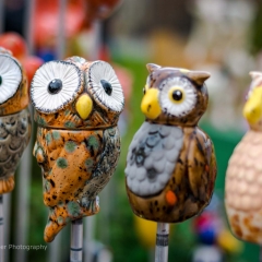 Gartenfest Schloss Eyrichshof