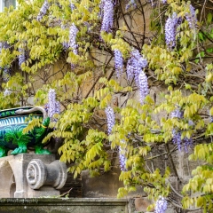 Gartenfest-Schloss-Eyrichs27