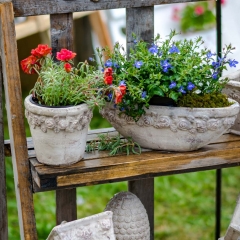 Gartenfest Schloss Eyrichshof