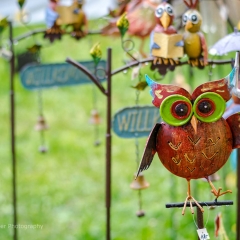 Gartenfest Schloss Eyrichshof