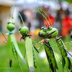 Gartenfest Schloss Eyrichshof