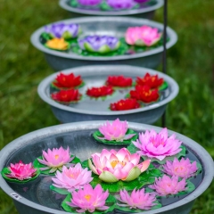 Gartenfest Schloss Eyrichshof