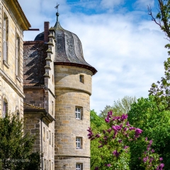 Gartenfest Schloss Eyrichshof