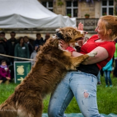 Gartenfest Schloss Eyrichshof