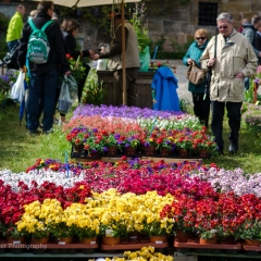 Gartenfest Schloss Eyrichshof