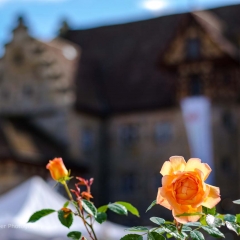 Gartenfest Schloss Eyrichshof
