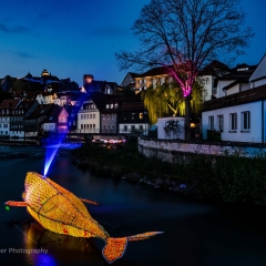 Lichtpunkt 50 "Artenvielfalt"