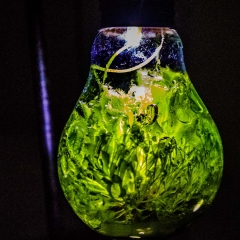 Lichtpunkt 36 "Habitat"