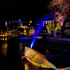 Lichtpunkt 50 "Artenvielfalt"