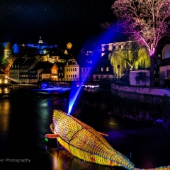 Lichtpunkt 50 "Artenvielfalt"