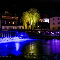 Lichtpunkt 49 "Blütenmeer"