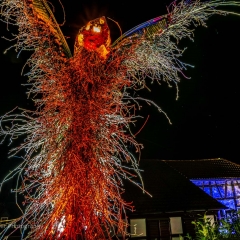 Lichtpunkt 43 "Phönix"