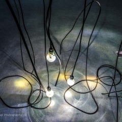 Lichtpunkt 36 "Habitat"