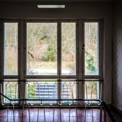 Fenster