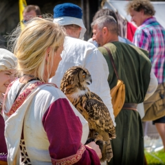 Crana Historica 2018