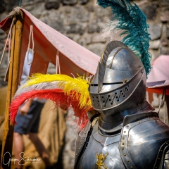 Crana Historica 2018