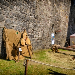 Crana Historica 2018