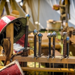 Crana Historica 2018