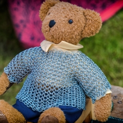 Crana Historica 2018