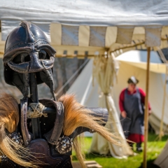 Crana Historica 2018