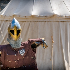 Crana Historica 2018