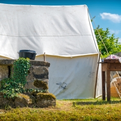 Crana Historica 2018