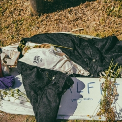 Crana Historica 2018