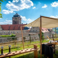 Crana Historica 2018