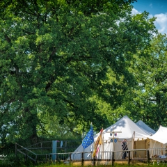 Crana Historica 2018