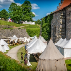 Crana Historica 2018