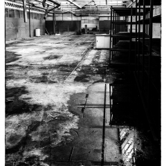 Den Faden weiterspinnen