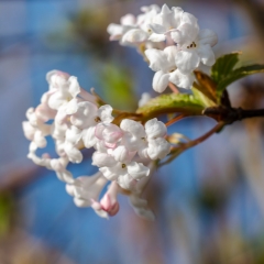 Frühling 2017