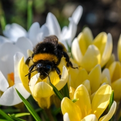 Frühling 2017