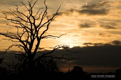 Sonnenuntergang