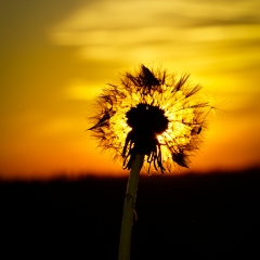 Herbst Gärtenroth 2017