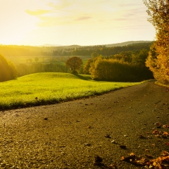 Herbst Gärtenroth 2017