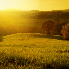 Herbst Gärtenroth 2017