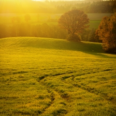 Herbst Gärtenroth 2017