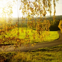 Herbst Gärtenroth 2017