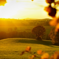 Herbst Gärtenroth 2017