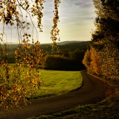 Herbst Gärtenroth 2017