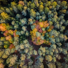 Herbst Gärtenroth 2017